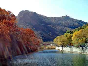 澳门二四六天天彩图库，泛目录寄生虫